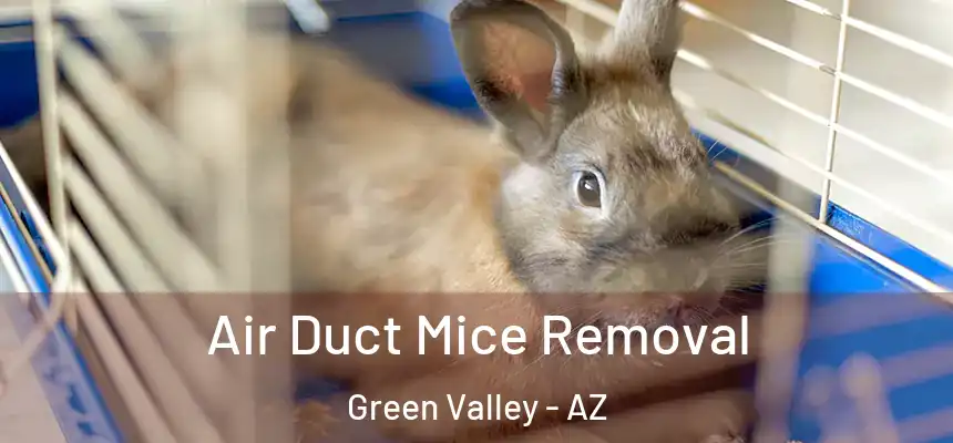 Air Duct Mice Removal Green Valley - AZ