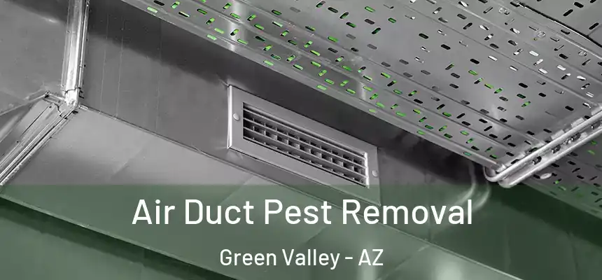 Air Duct Pest Removal Green Valley - AZ