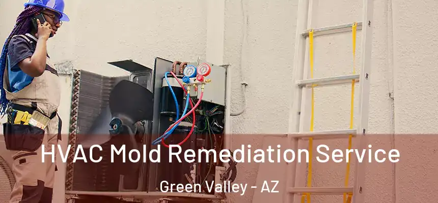 HVAC Mold Remediation Service Green Valley - AZ