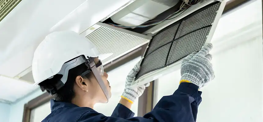 Our Lint Trap Cleaning Service Services in Green Valley, AZ