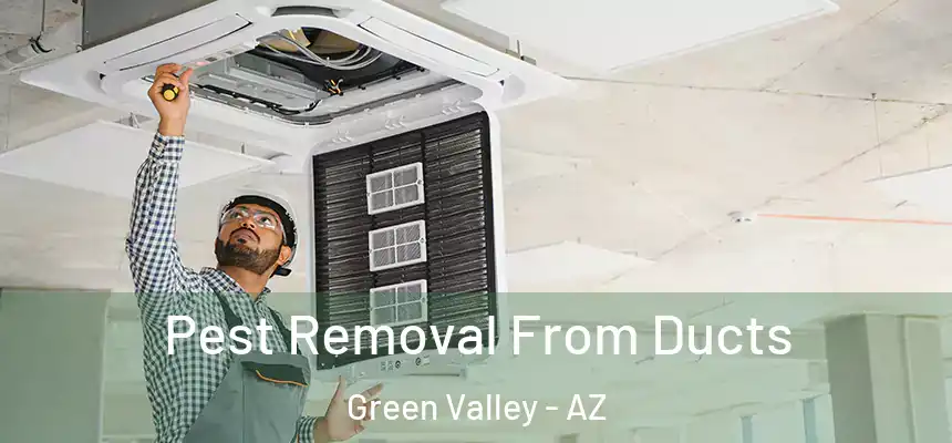  Pest Removal From Ducts Green Valley - AZ