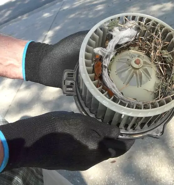 About Air Duct Rat Removal in Green Valley, AZ