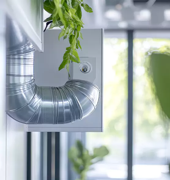 Professional Eco-Friendly Duct Cleaning Services in Green Valley, AZ