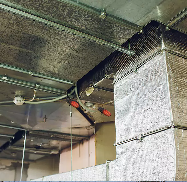 Why Homeowners & Businesses Trust Us in Green Valley, AZ?