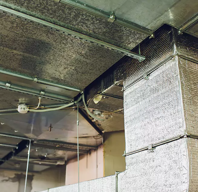 Why Homeowners & Businesses Trust Us in Green Valley, AZ?